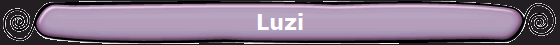 Luzi