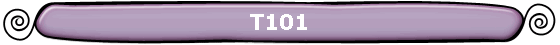 T101