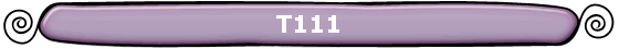 T111