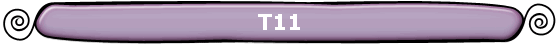 T11
