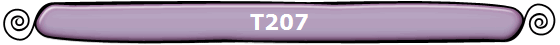 T207
