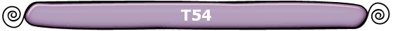 T54