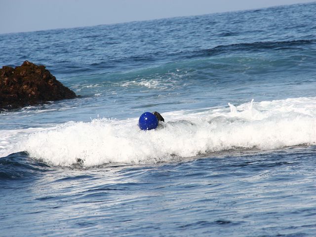 k-Balu im Meer mit Ball